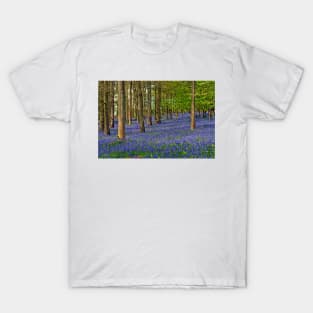 Bluebell Woods Greys Court Oxfordshire UK T-Shirt